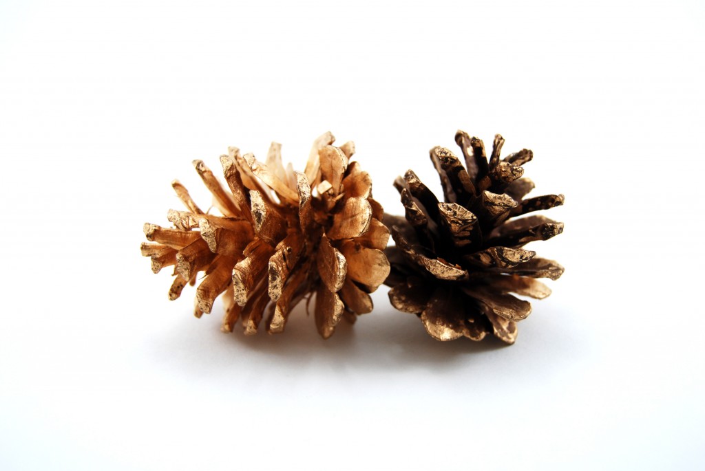Pines